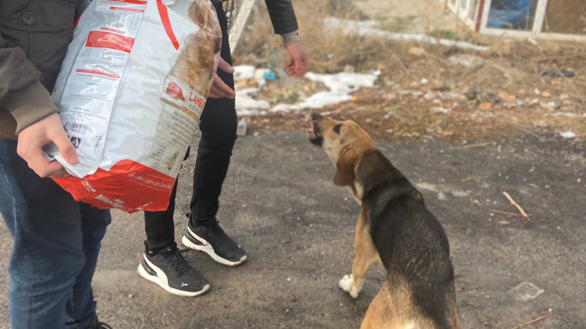 CAN DOSTUMUZ SOKAK HAYVANLARINI UNUTMADIK